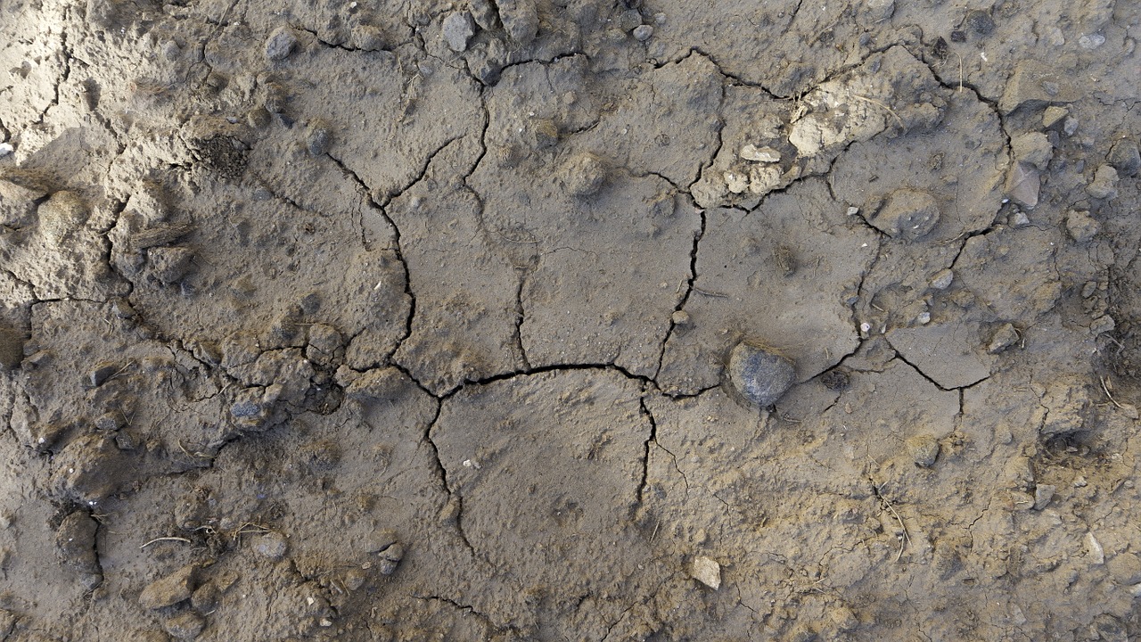 texture background soil free photo