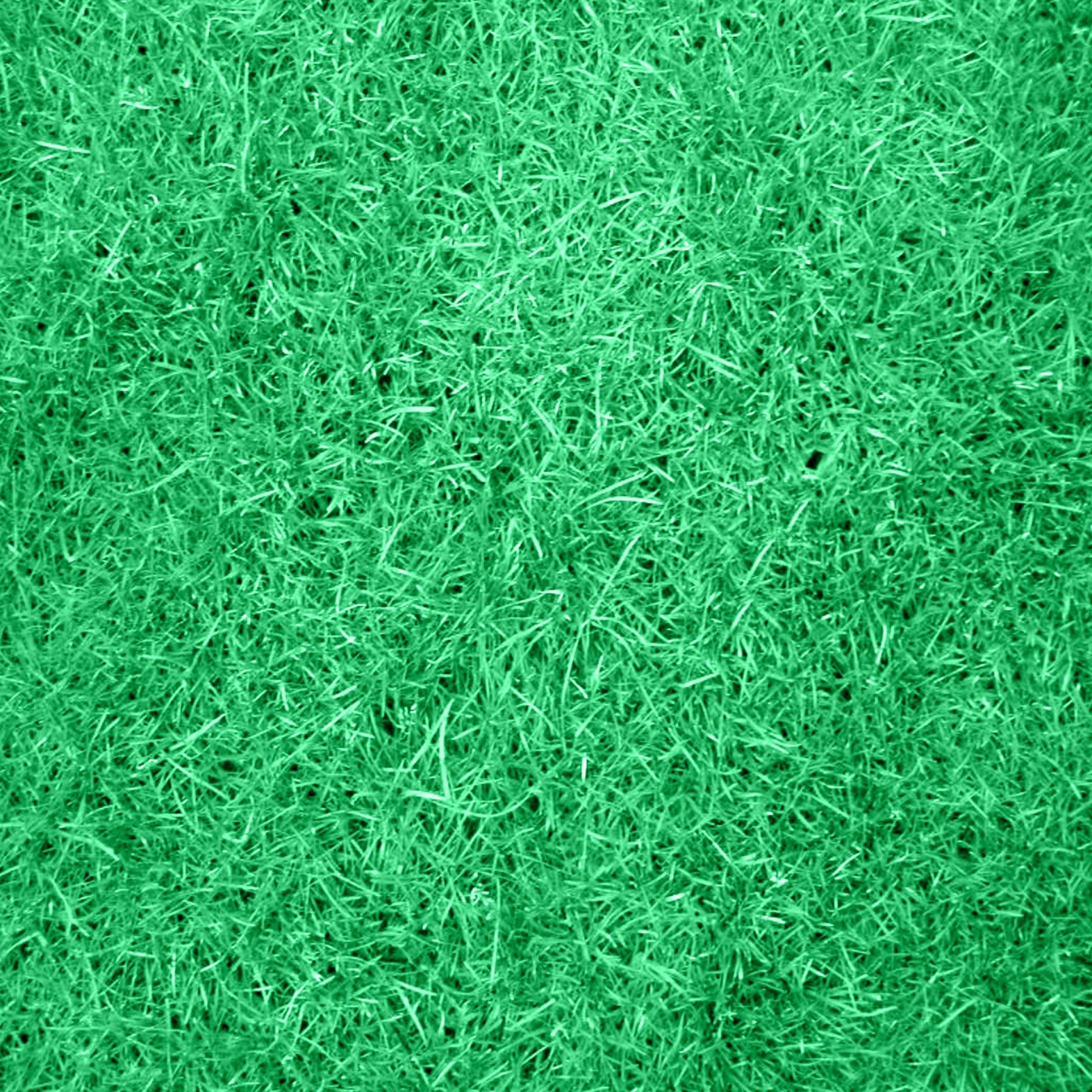 texture grass texture grass free photo