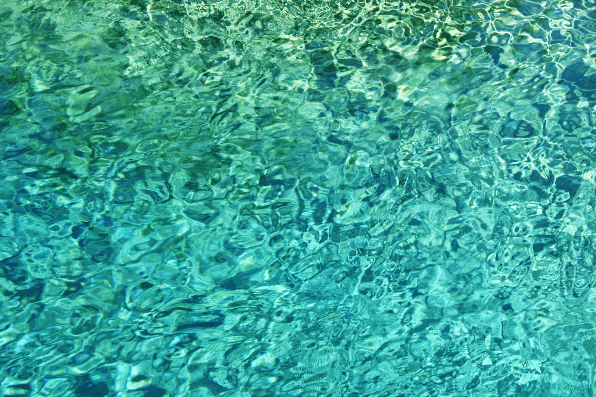 pool sea ocean free photo