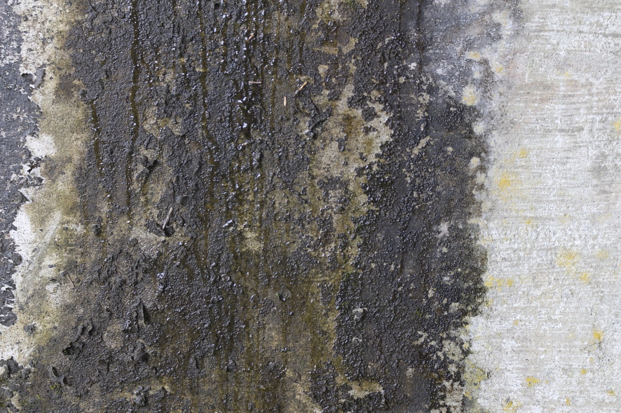 textures rock grunge free photo