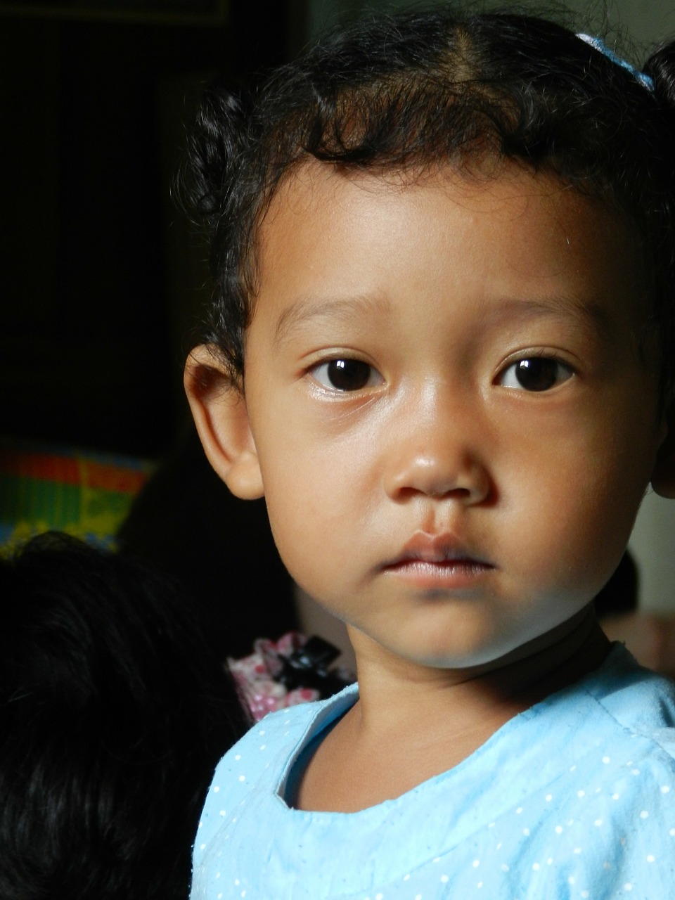 thai child asian child girl free photo