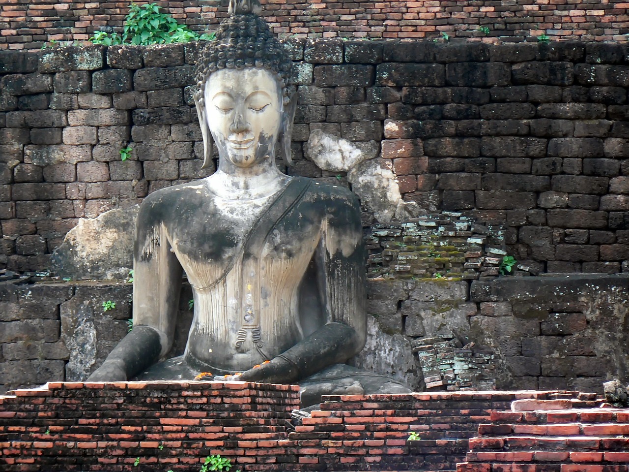 thailand ayutthaya buddha free photo