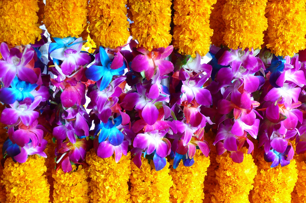 thailand flowers gifts free photo