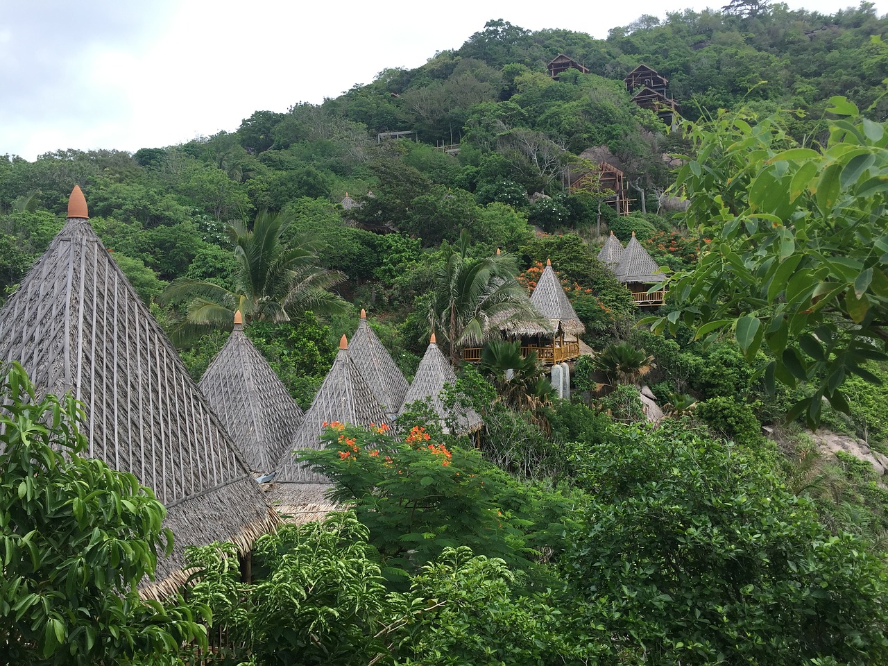 thailand bungalow koh phi phi free photo