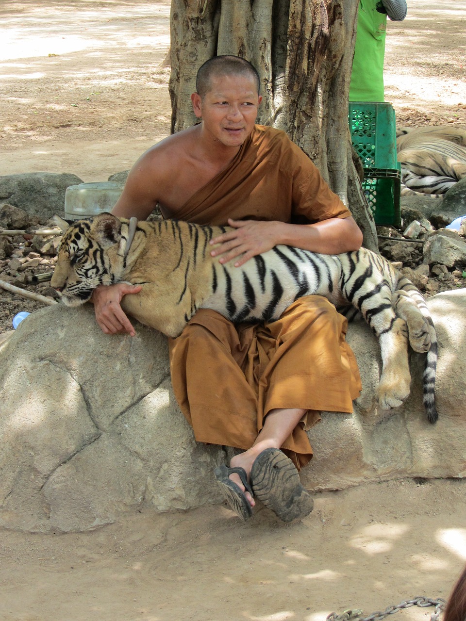 thailand monk buddhism free photo