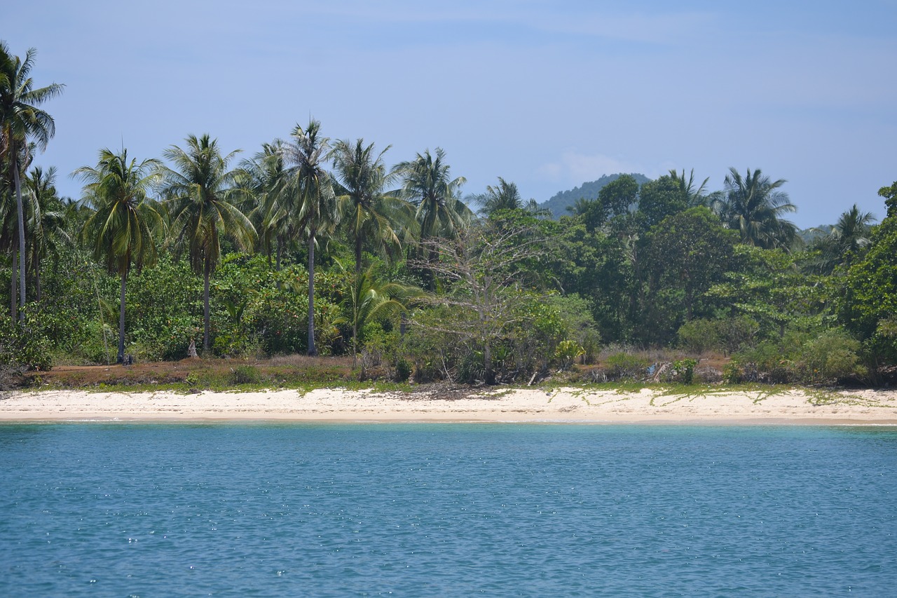 thailand beach island free photo