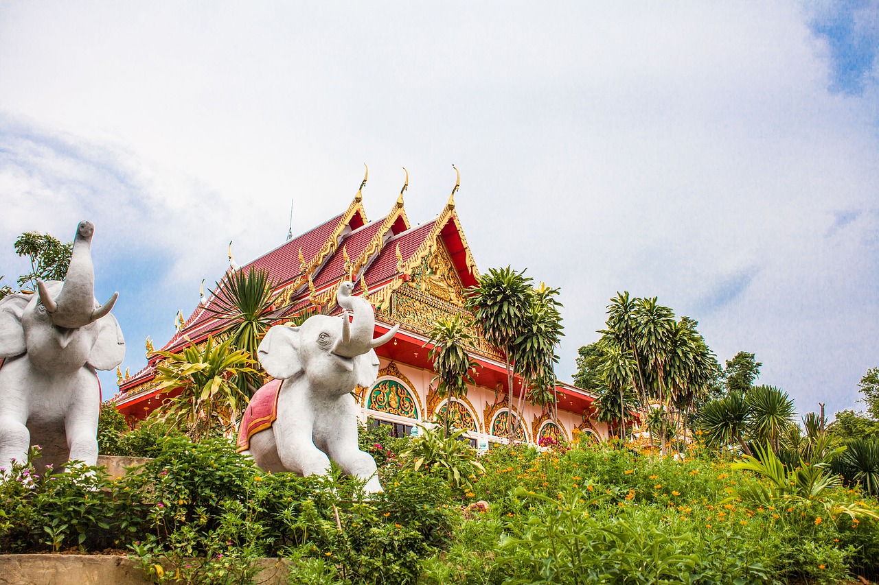 thailand wat temple free photo