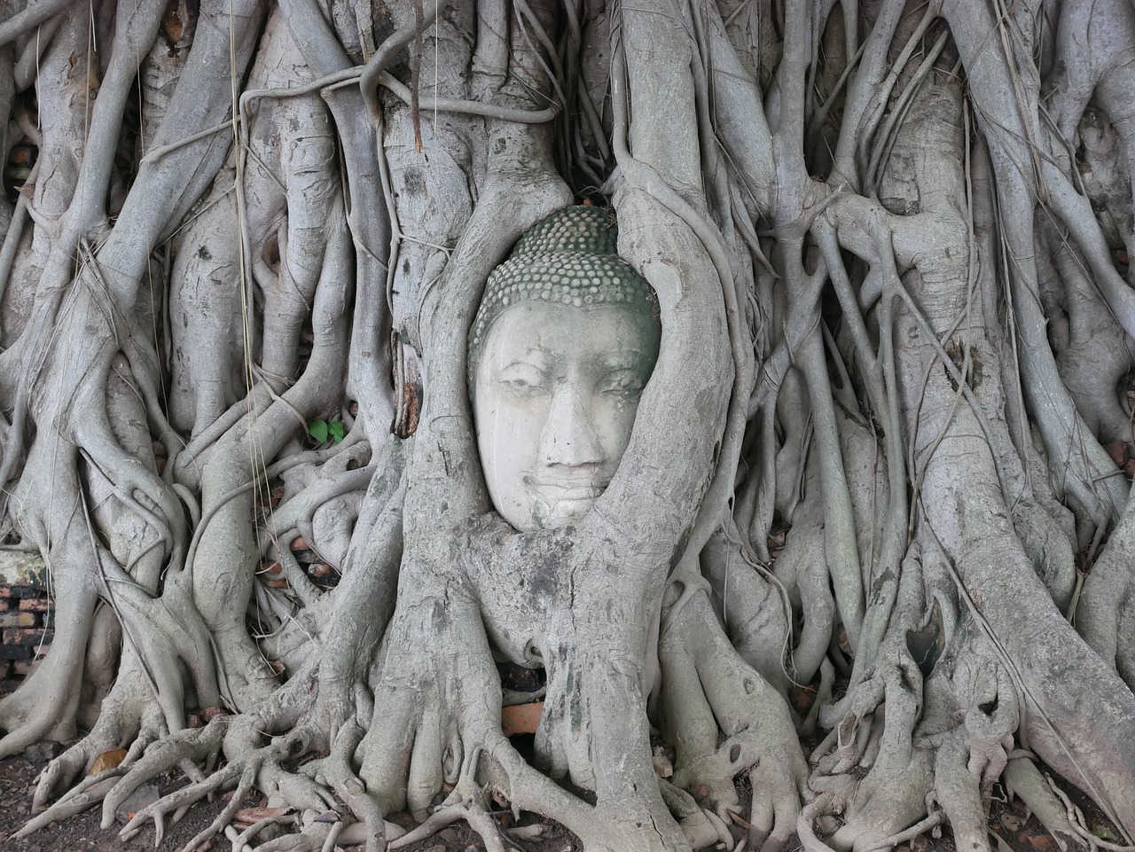 thailand buddha measure free photo