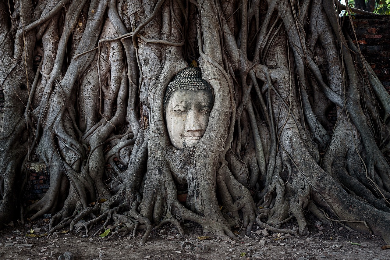 thailand asia buddha free photo