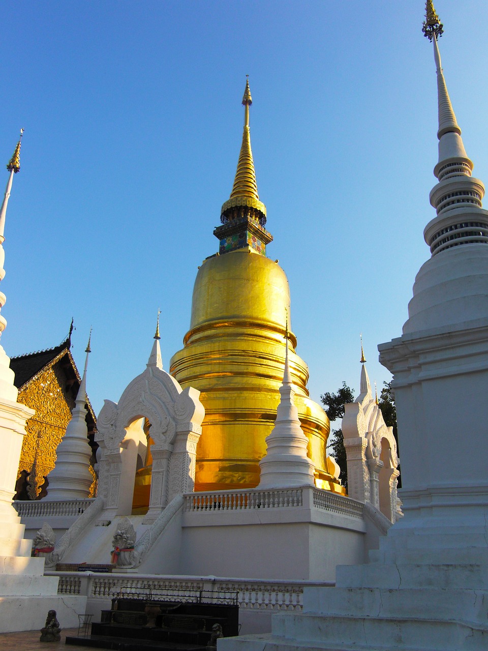 thailand temple buddha free photo