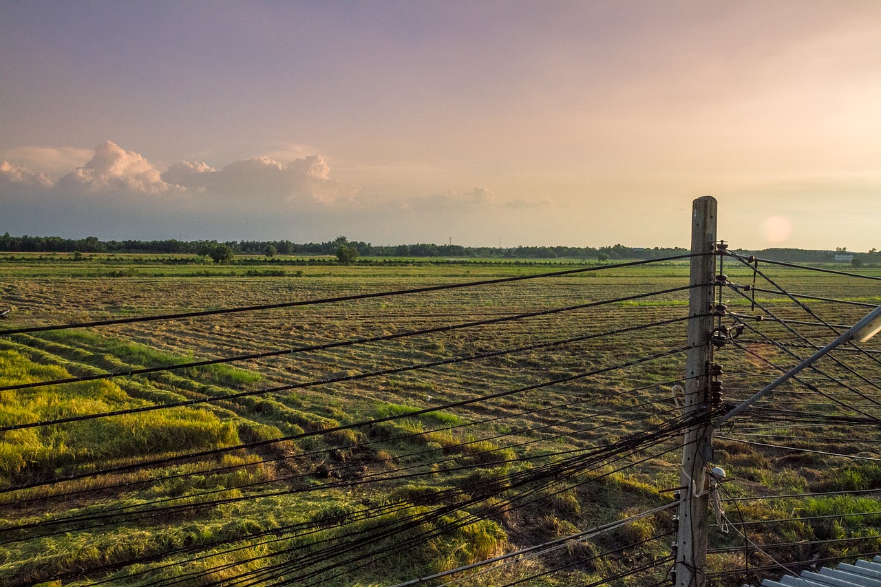 thailand fields farm free photo