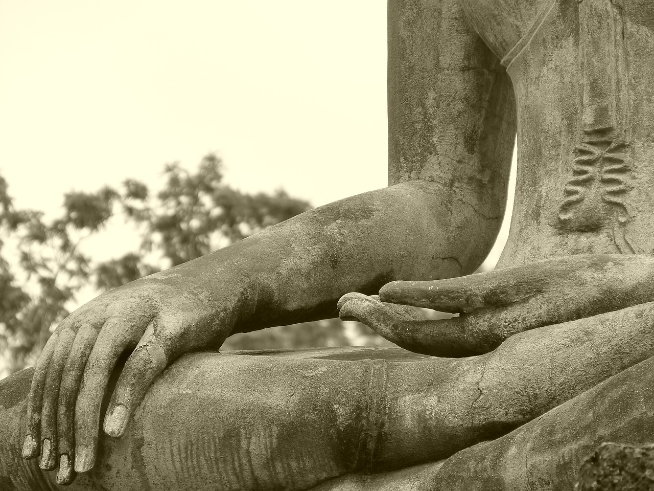 thailand buddha temple free photo