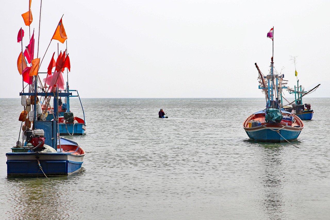 thailand  fishing  boats free photo
