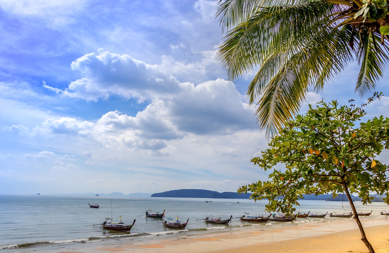 thailand  beach  sea free photo