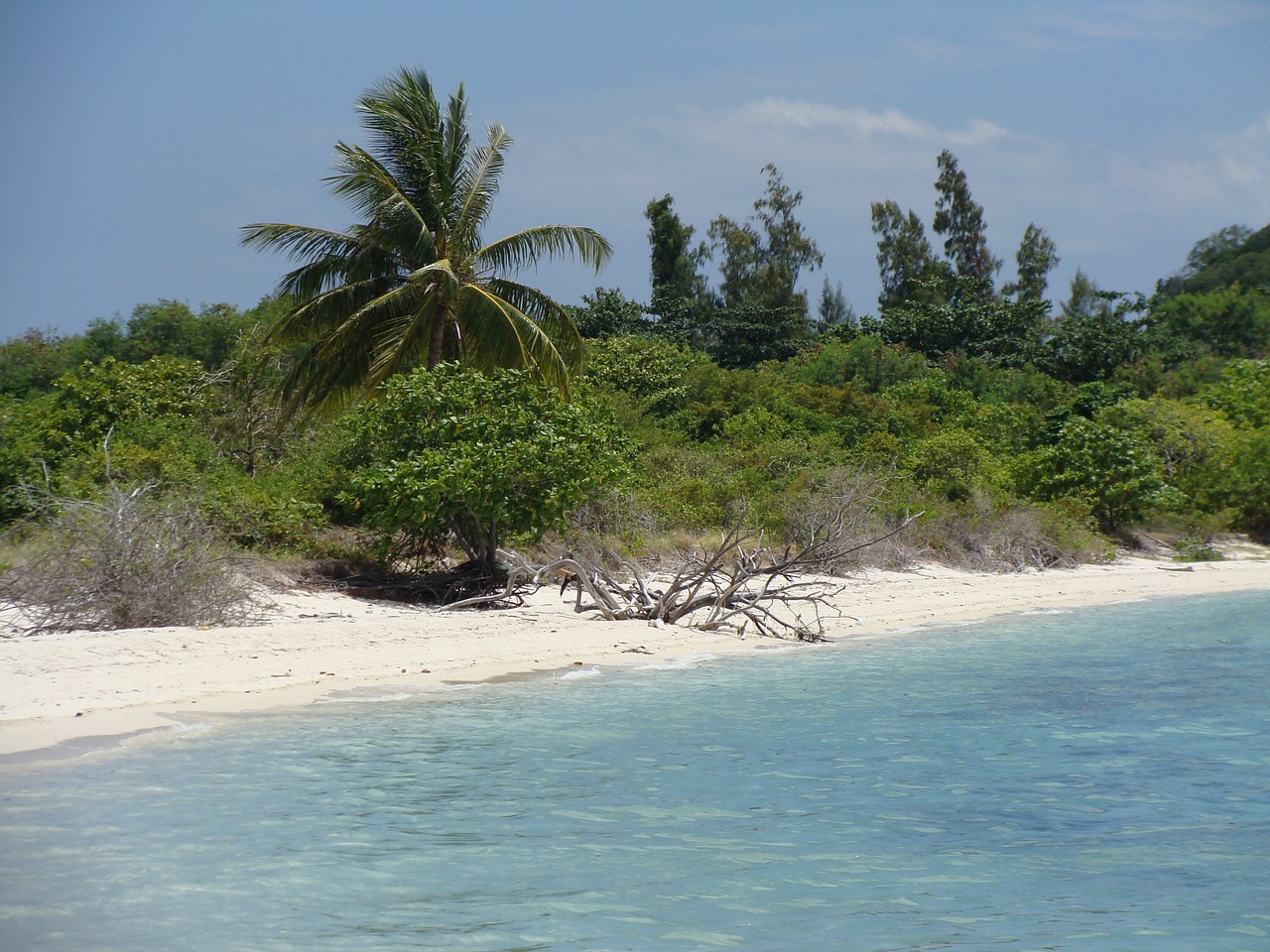 thailand koh samui island free photo