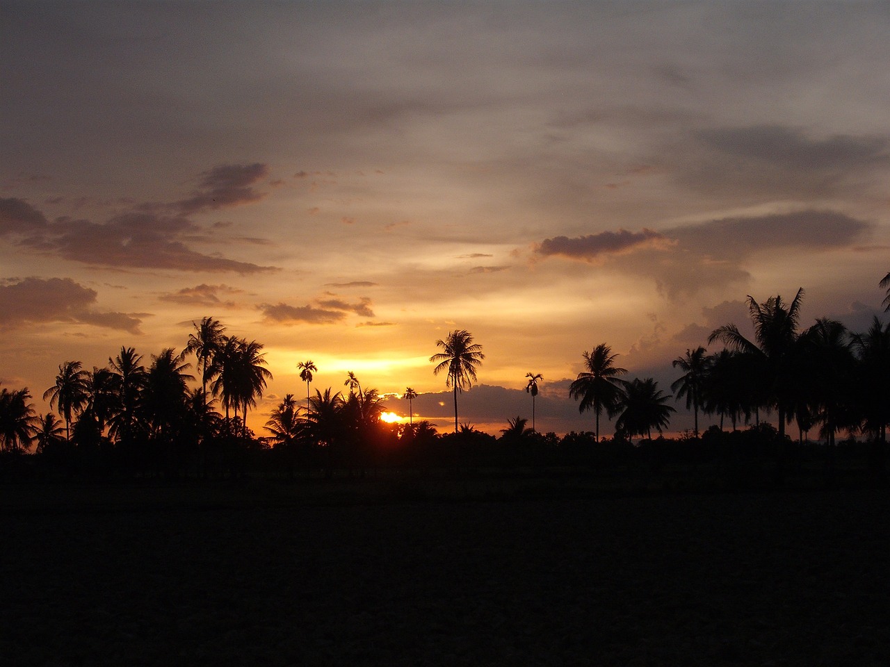 thailand asia landscape free photo