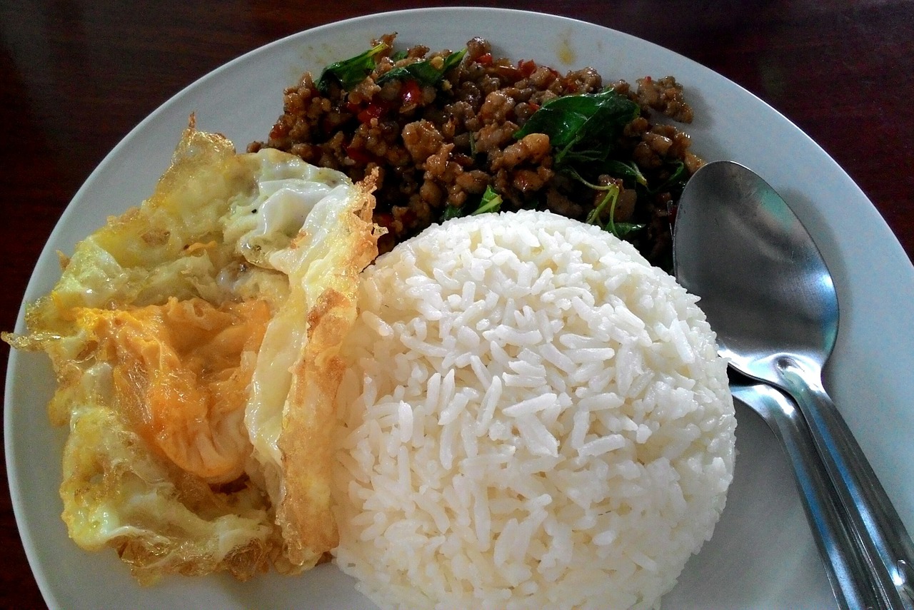 thailand food rice basil pork fast food free photo