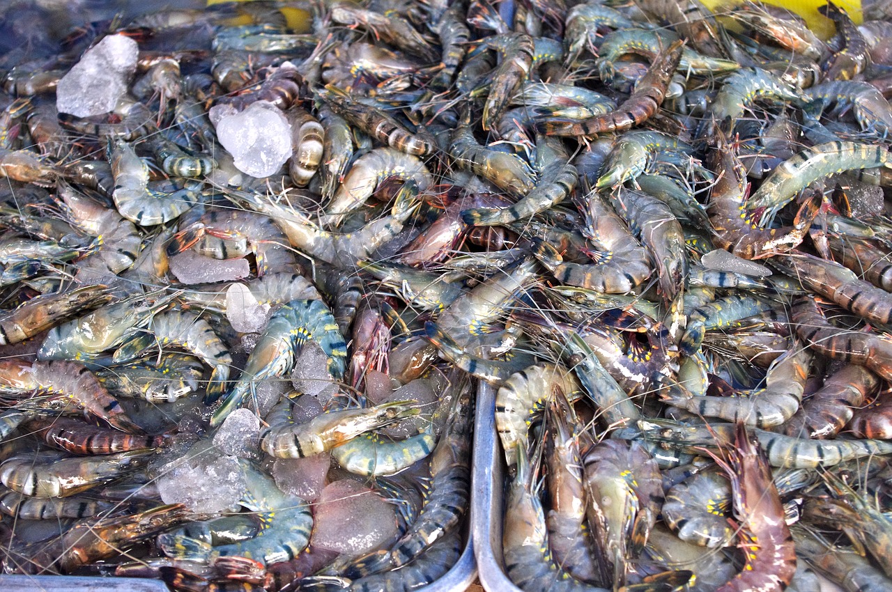 thailand-market  shrimp  prawns free photo