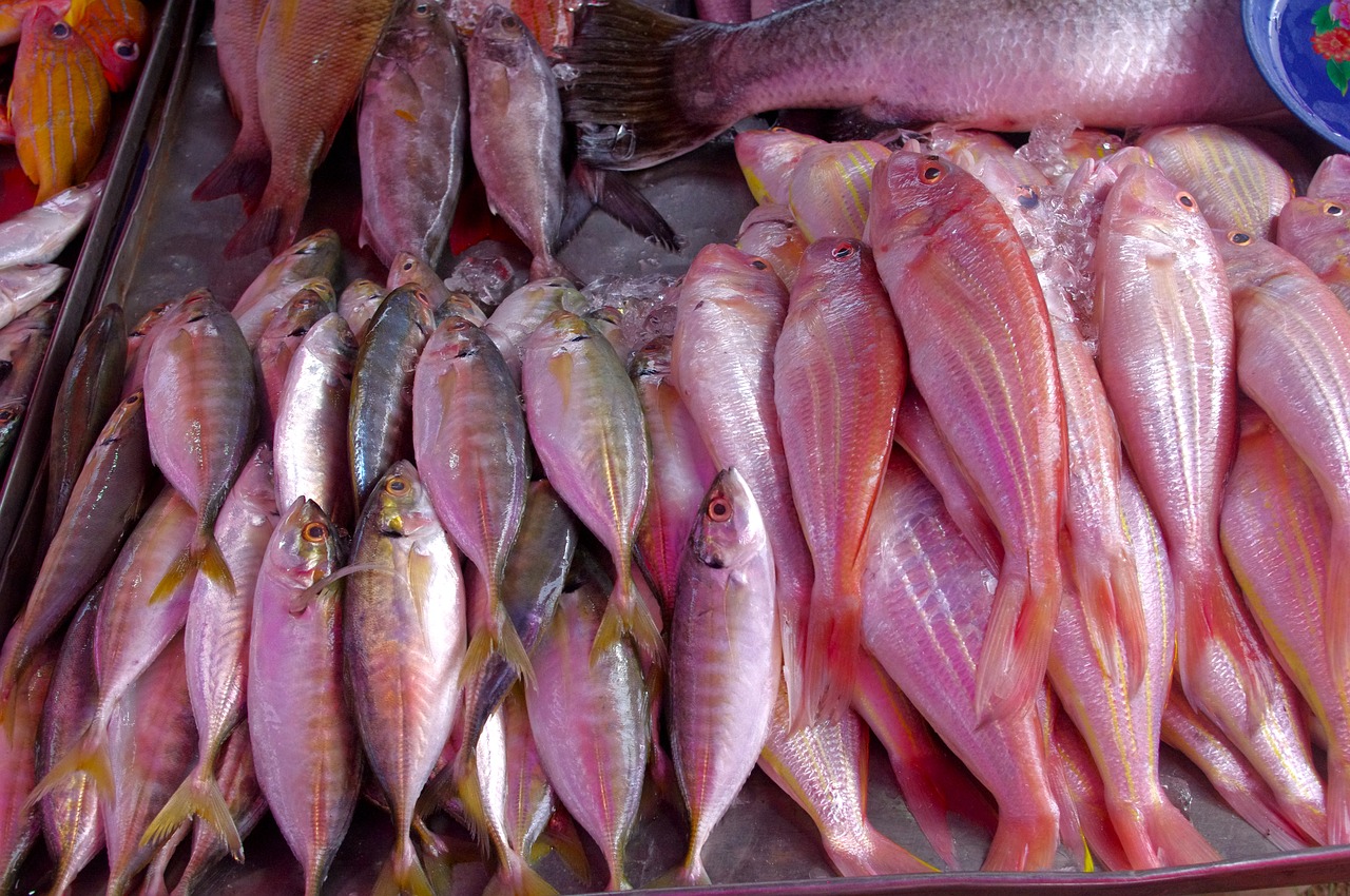 thailand-market  fish  seafood free photo