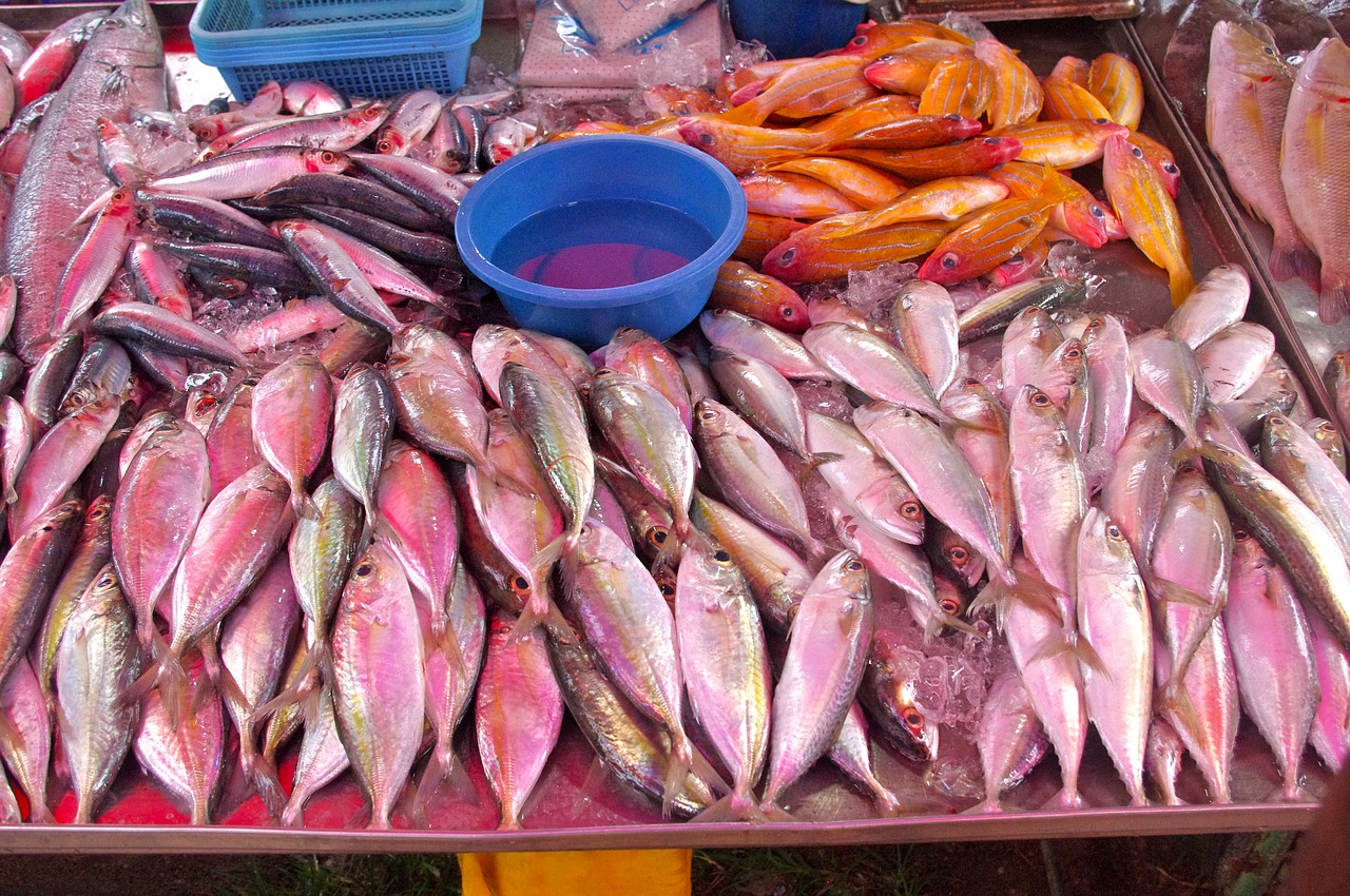 thailand-market  fish  fresh fish free photo