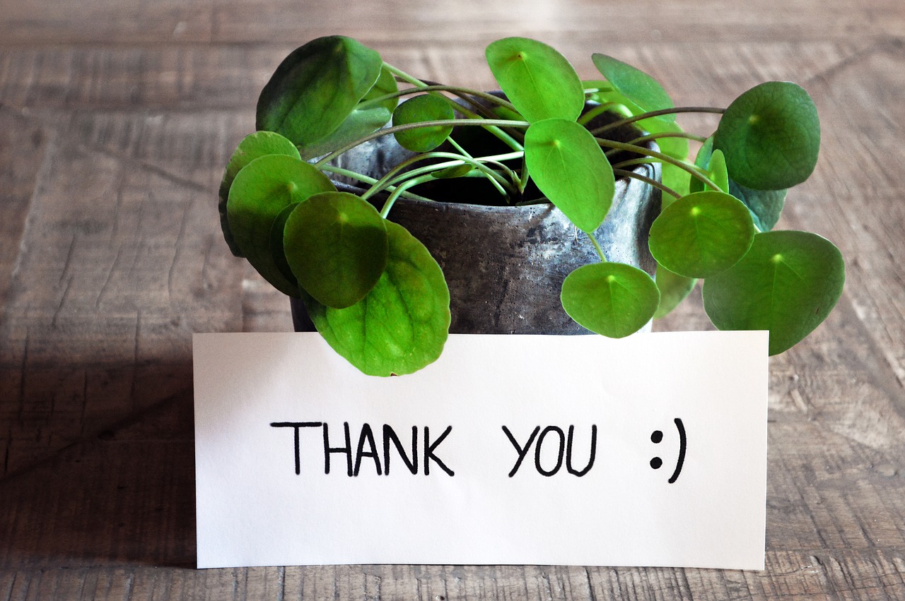 thank you  thank you card  table free photo