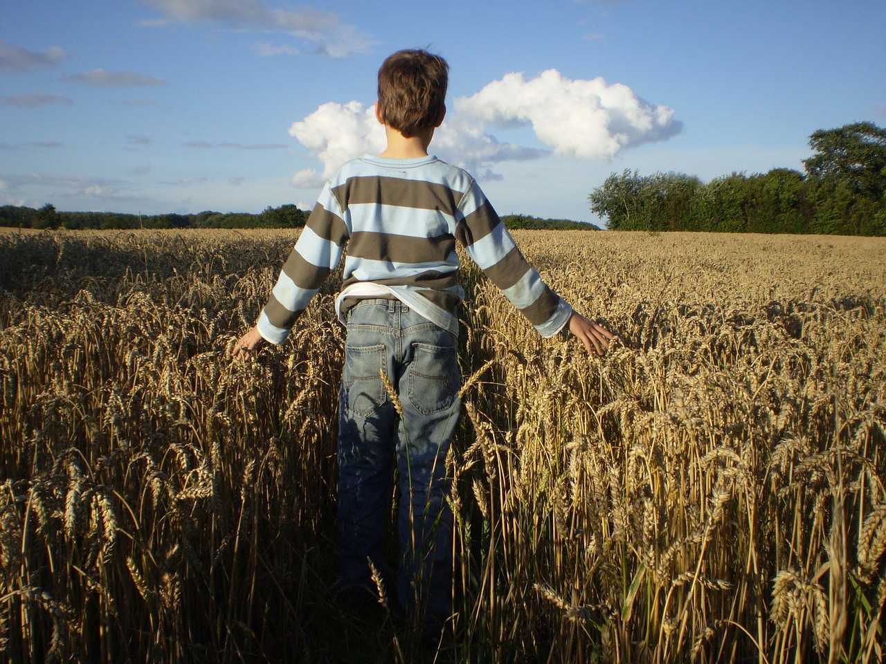 thanksgiving child autumn free photo