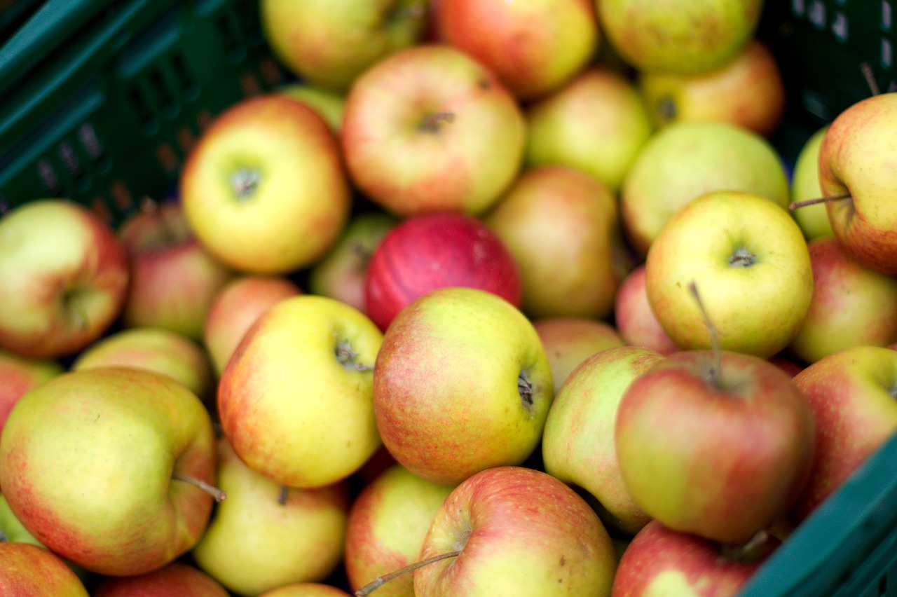 thanksgiving apple fruit free photo