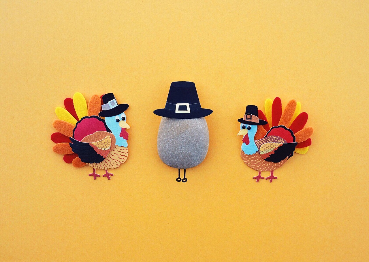 thanksgiving turkey holiday free photo