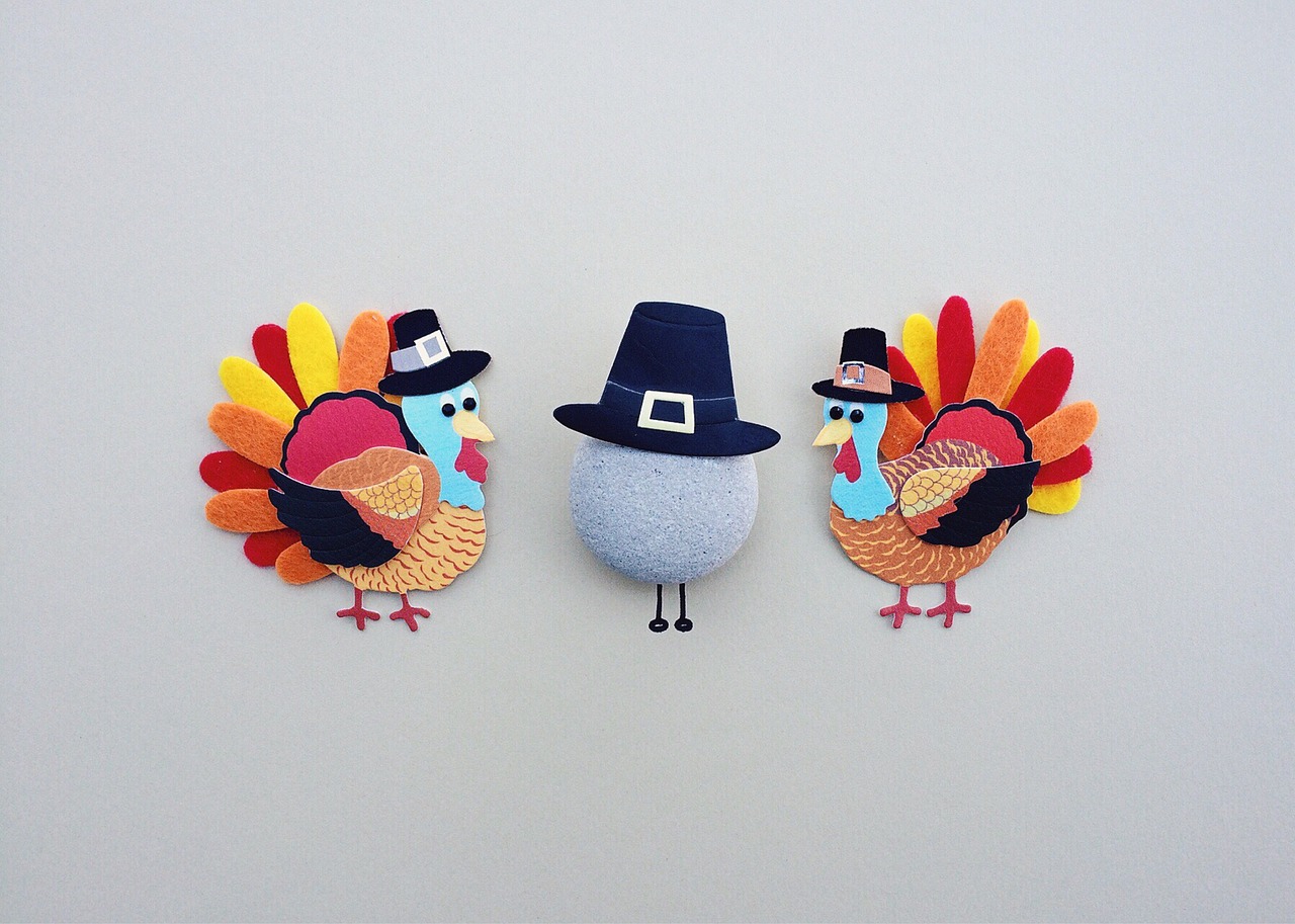 thanksgiving turkey holiday free photo