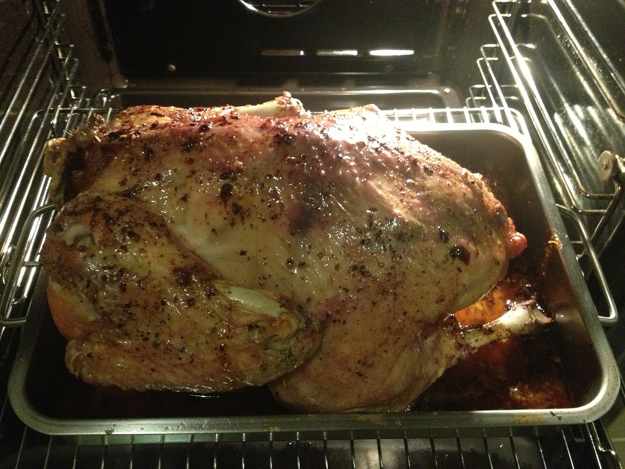 thanksgiving christmas turkey oven free photo