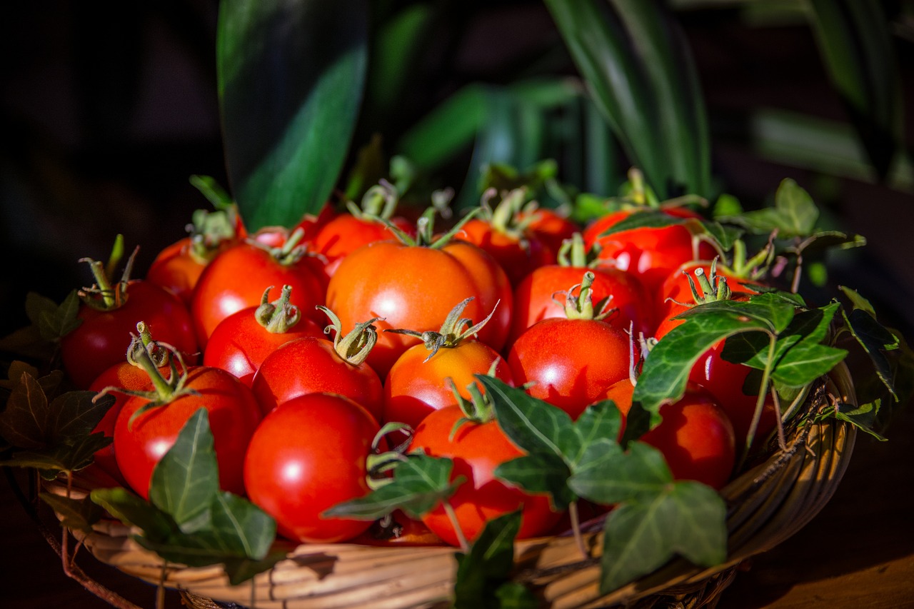 thanksgiving tomatoes healthy free photo