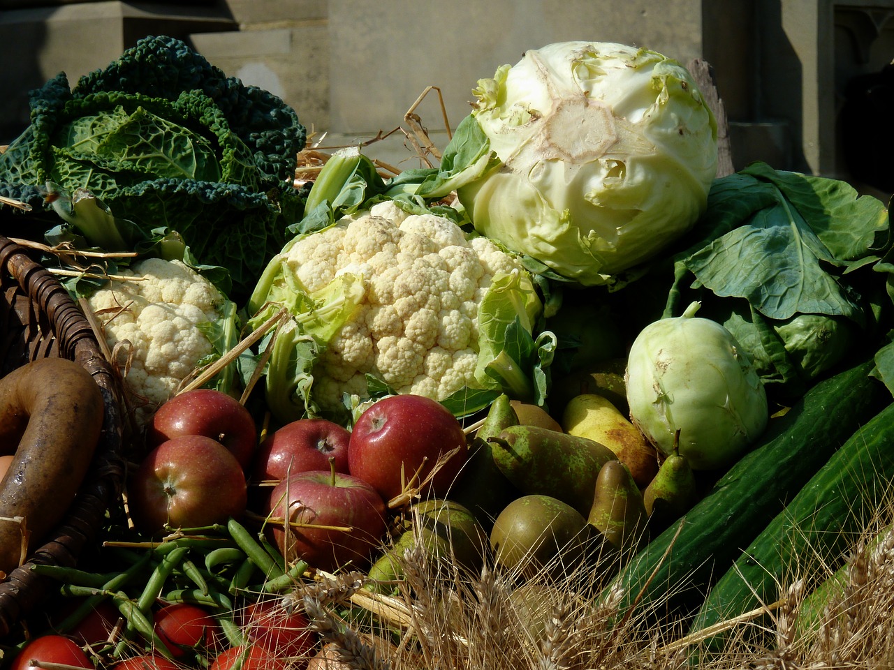 thanksgiving pumpkins vegetables free photo