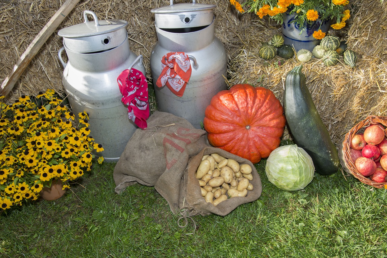 thanksgiving fruits festival free photo