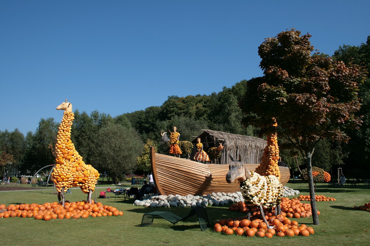 thanksgiving september pumpkin free photo