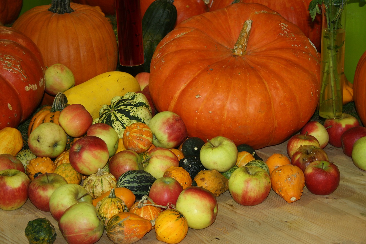 thanksgiving pumpkin apple free photo