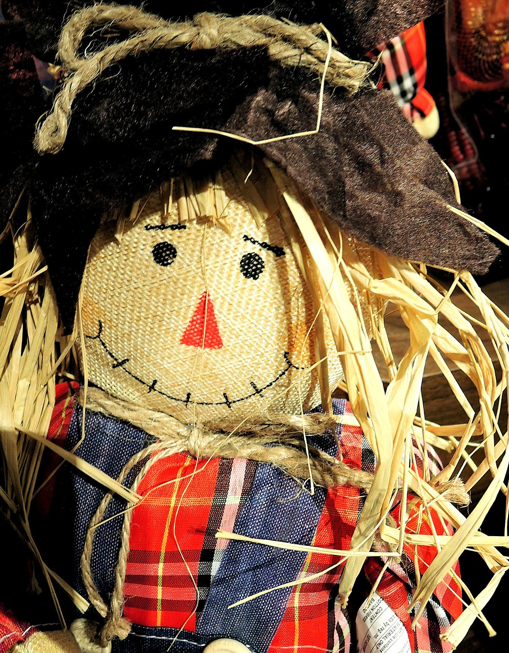 thanksgiving harvest doll straw hair free photo