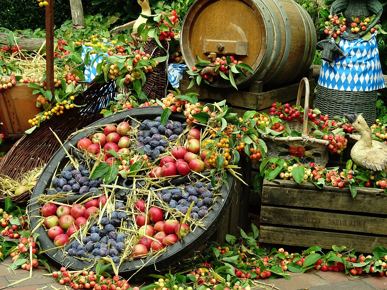 thanksgiving fruit nature free photo