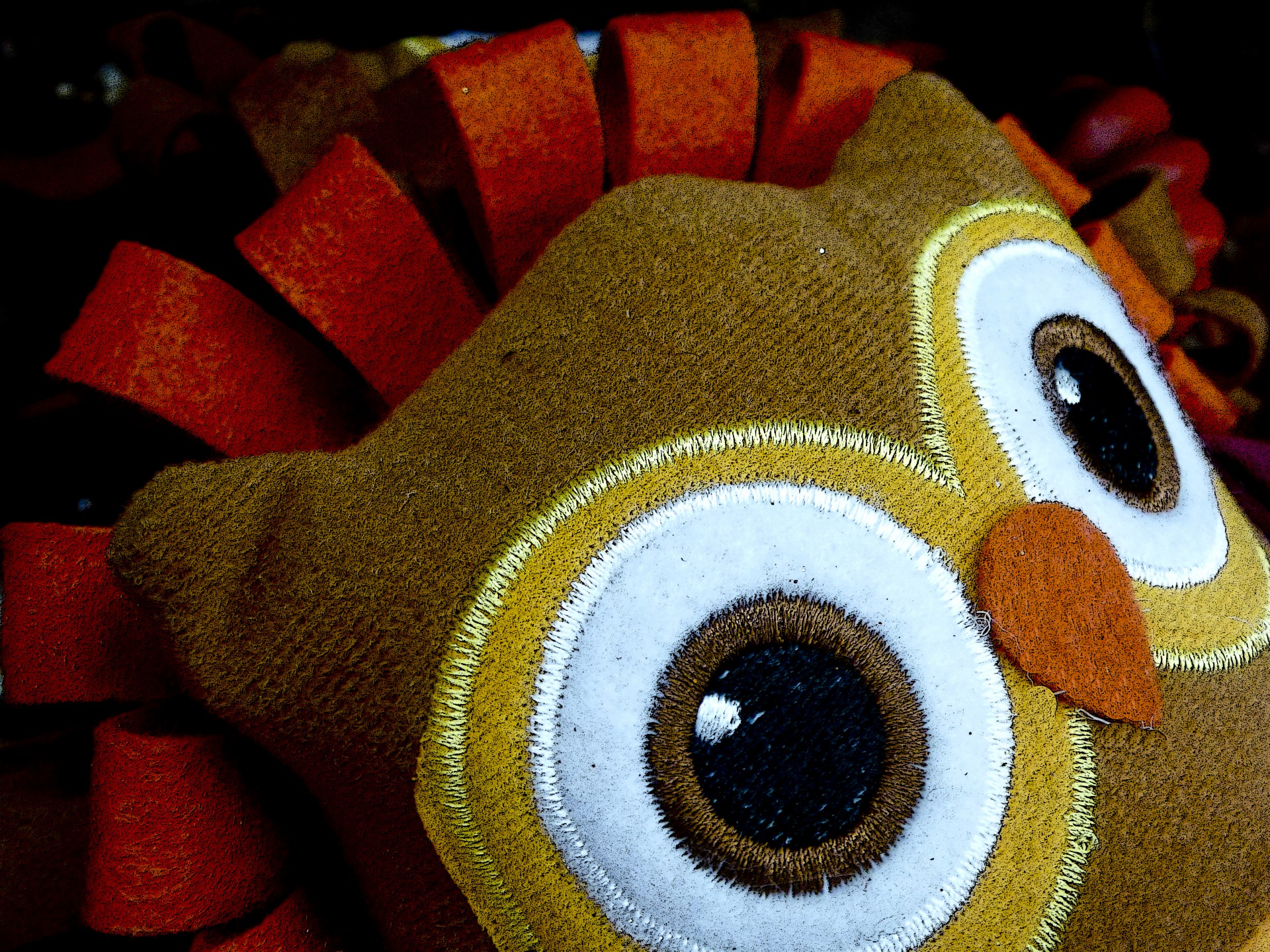 owl thanksgiving brown free photo