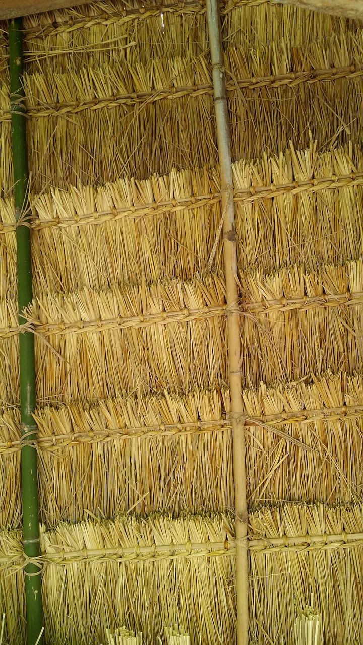 thatch roof laos free photo