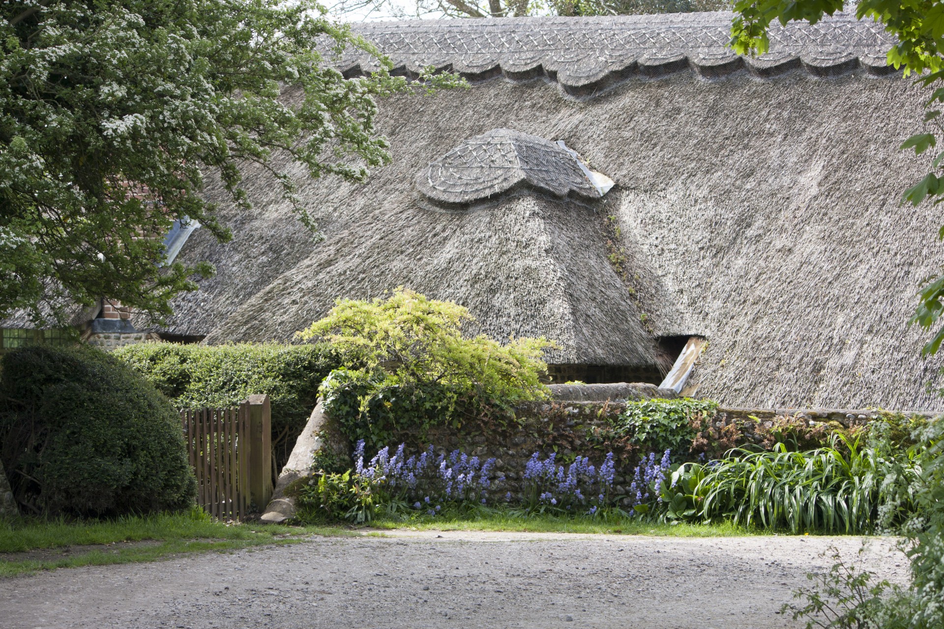 thatch roof thatched roof thatch free photo