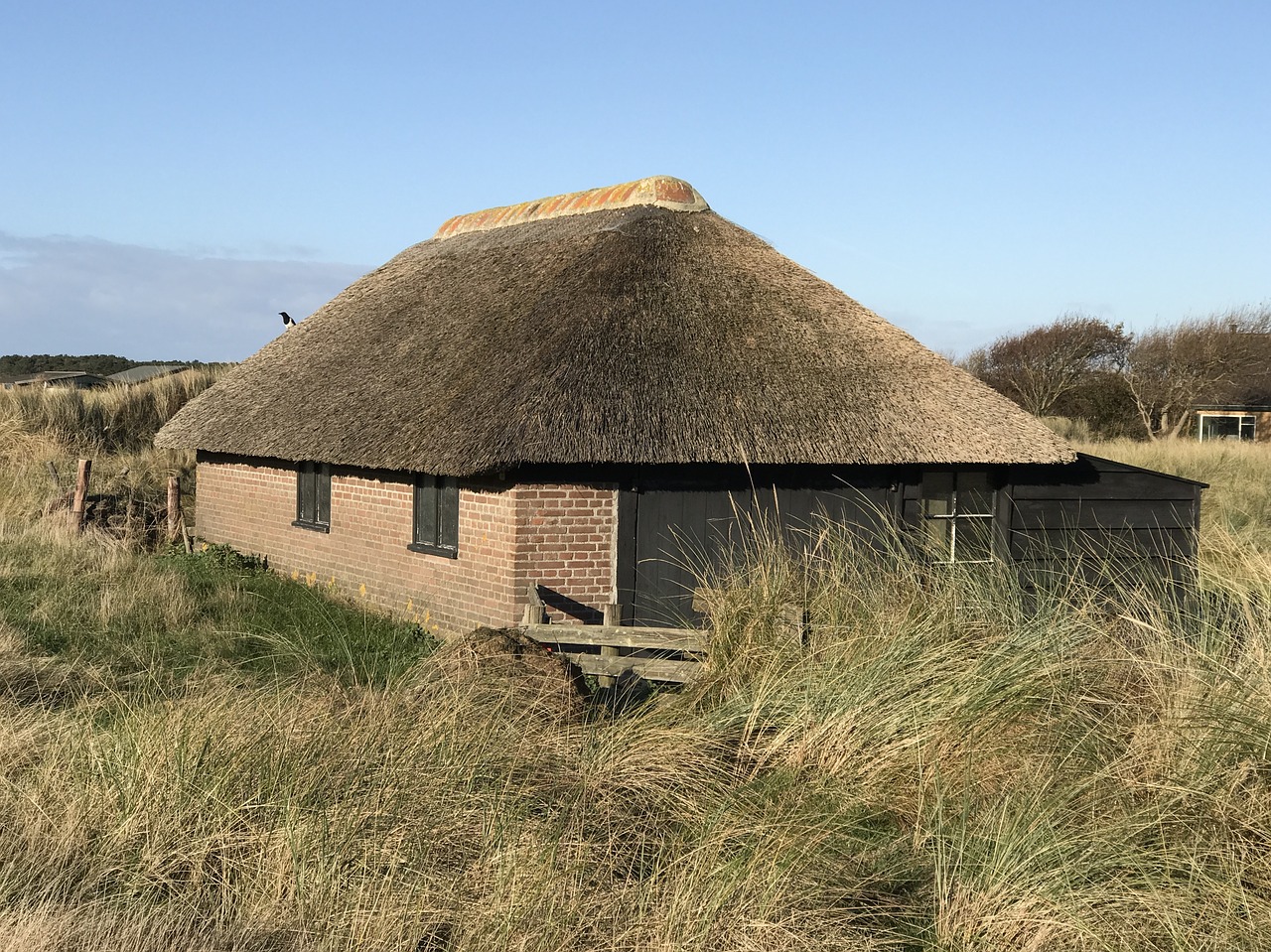 thatched nature north sea free photo