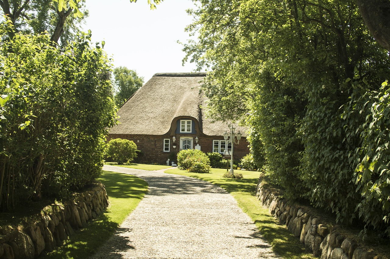 thatched cottage  summer  north sea free photo