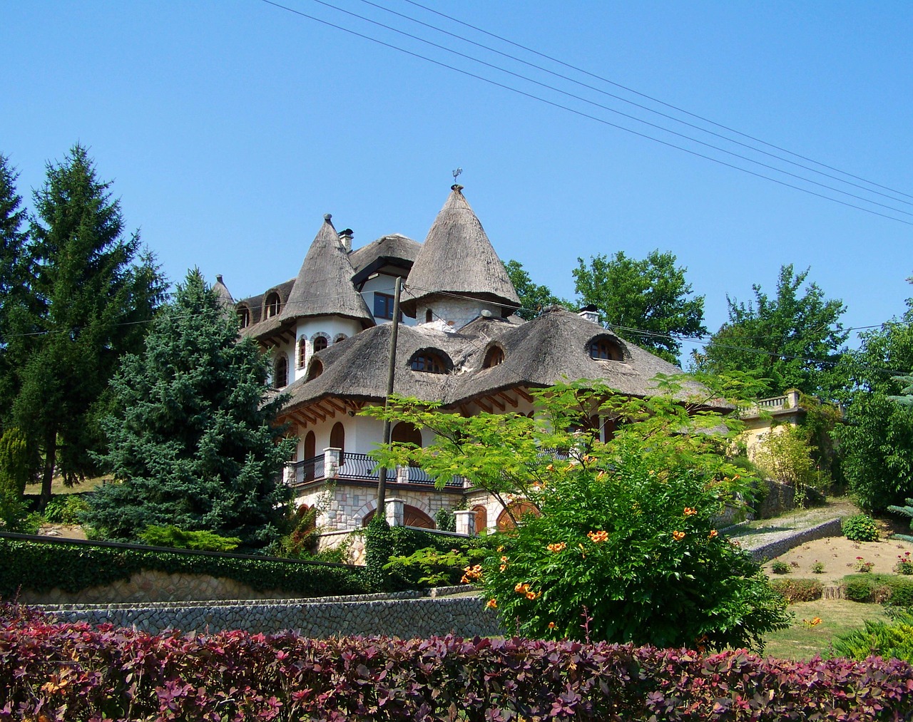 thatched house architecture dwelling house free photo