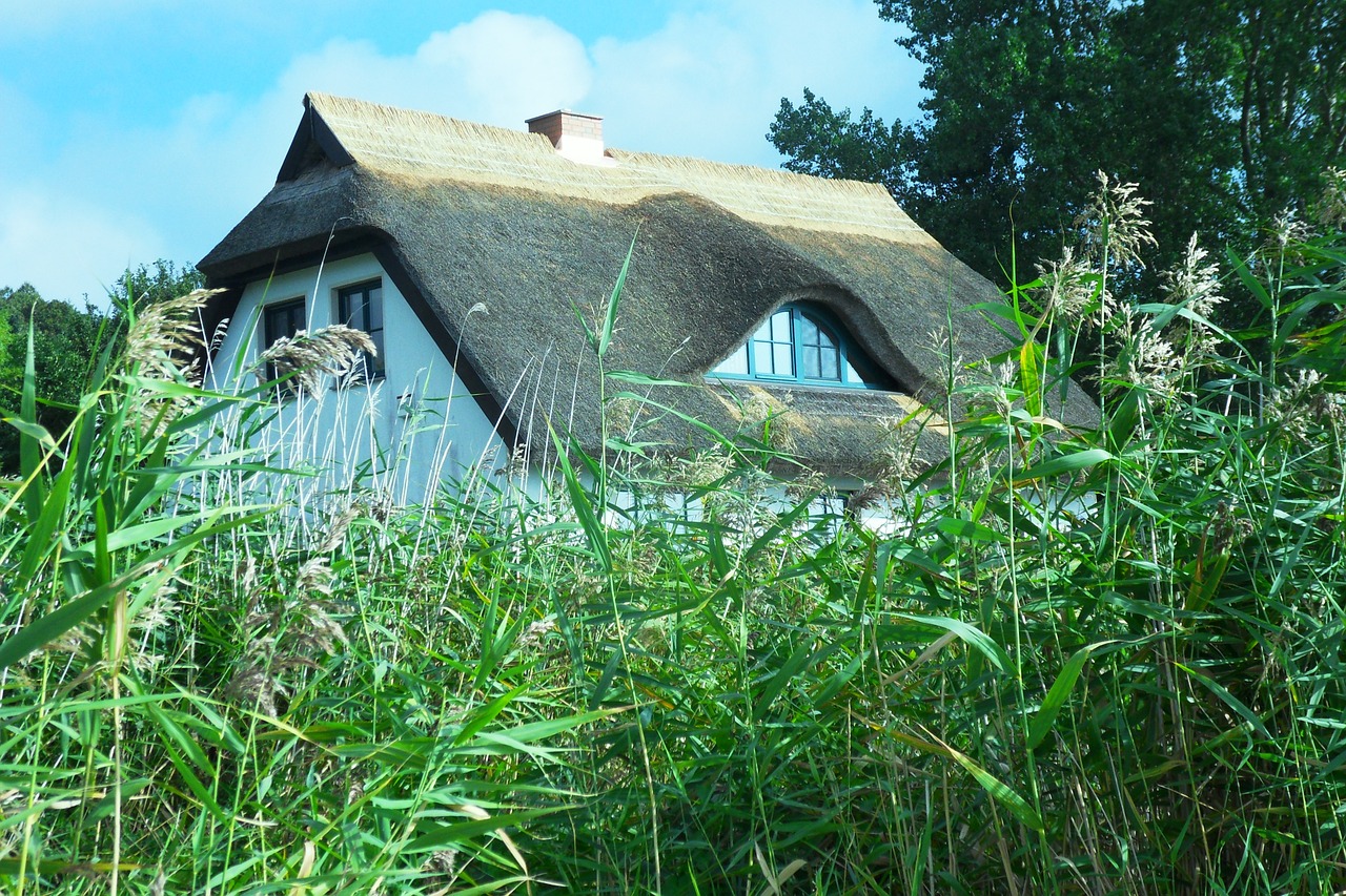 thatched roof baltic sea rügen island free photo