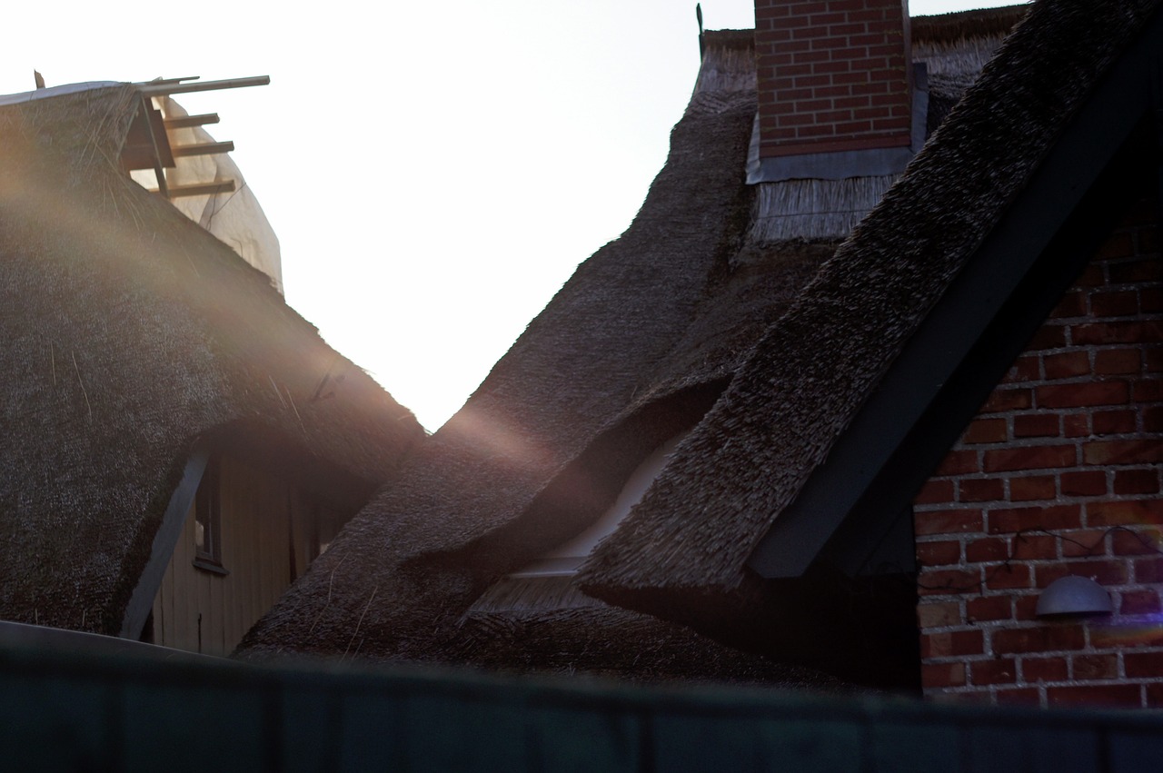 thatched roof roofs ensemble free photo