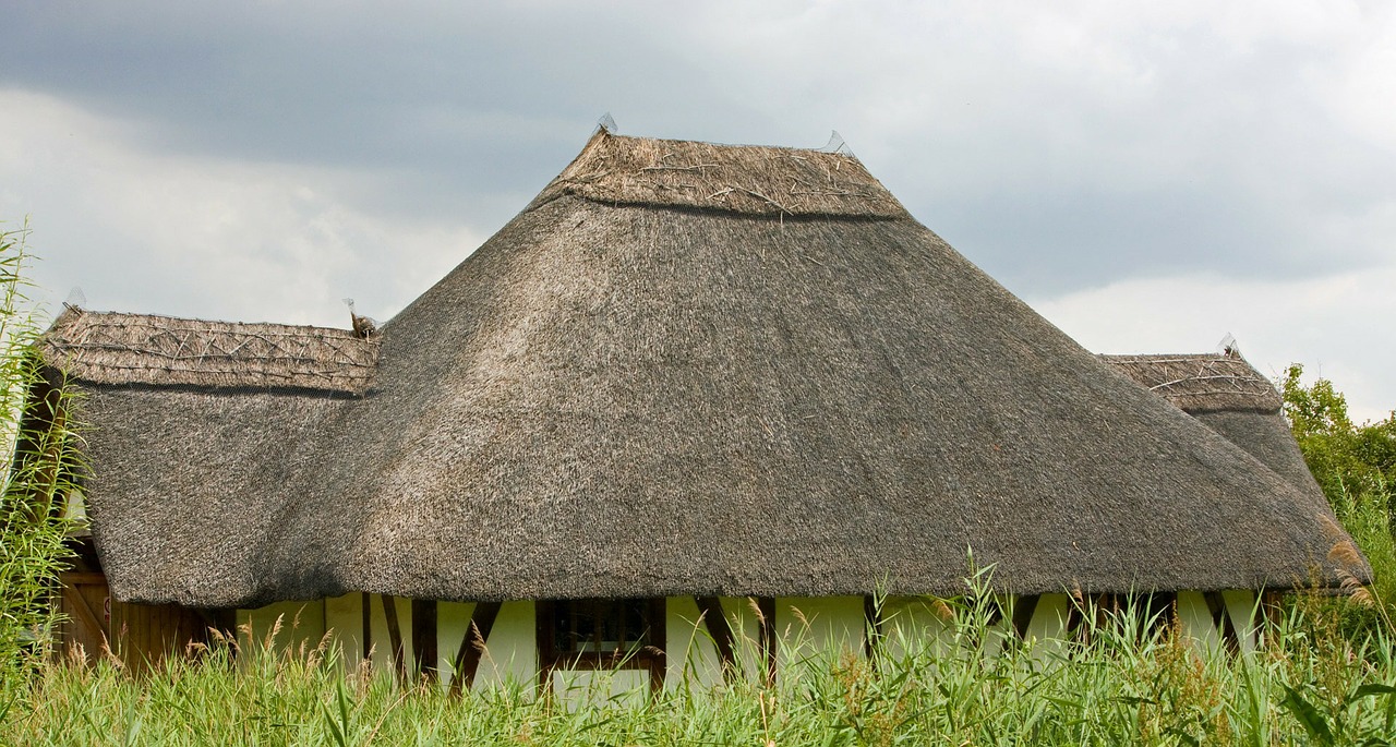 thatched roof thatch roof thatch free photo