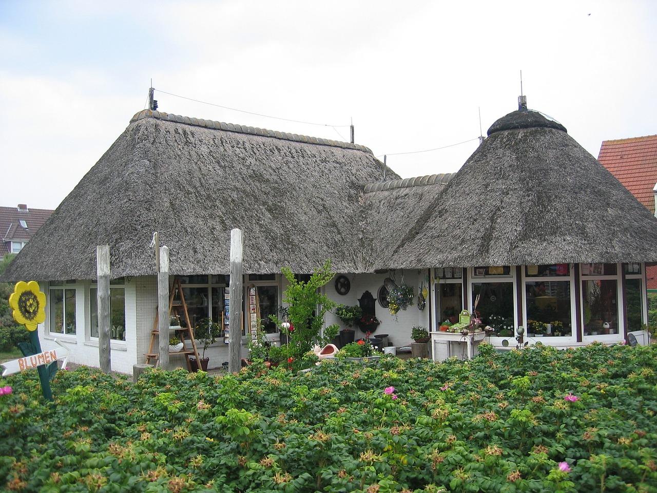 thatched roof thatched home free photo