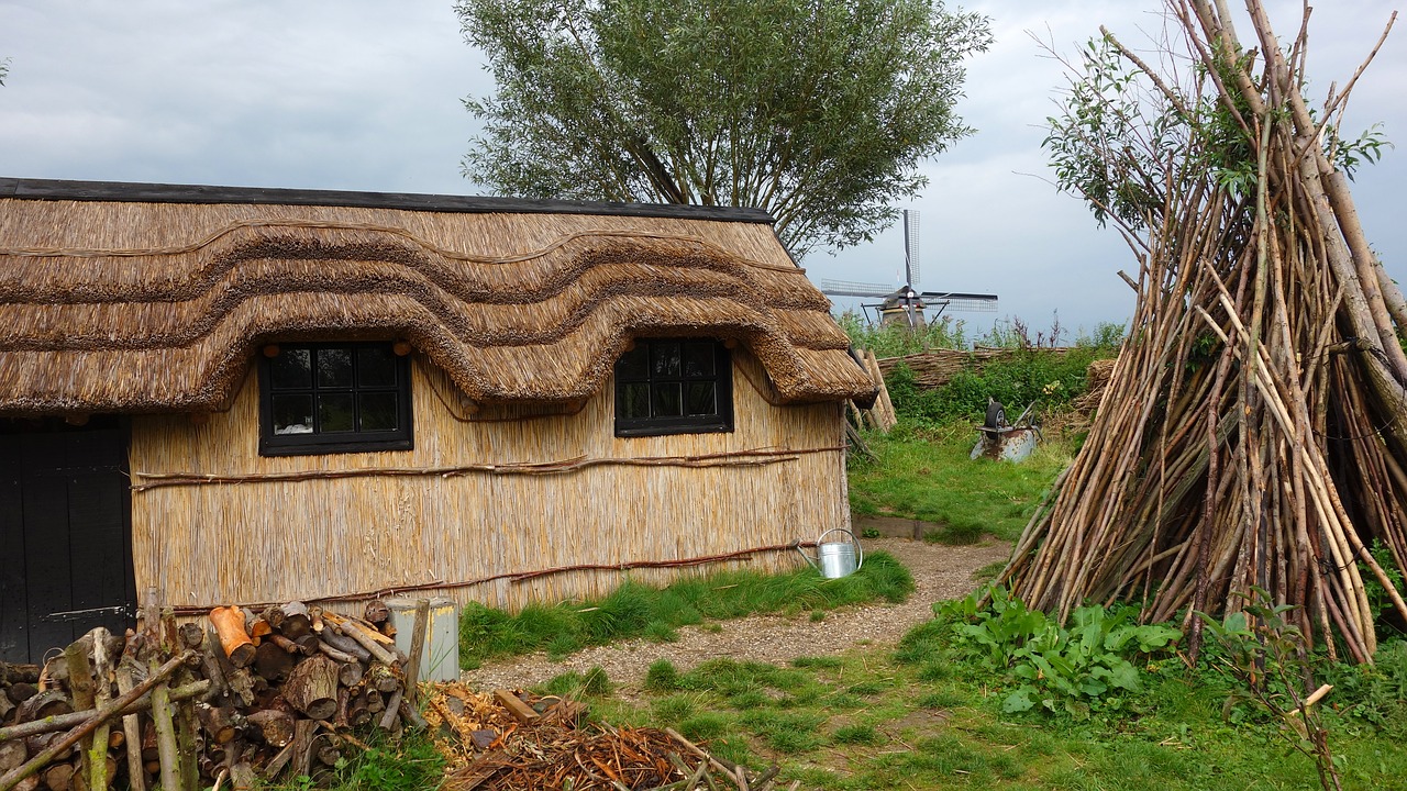 thatched roof nationwide landscape free photo