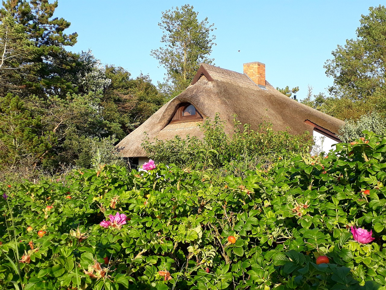 thatched roof home roof free photo