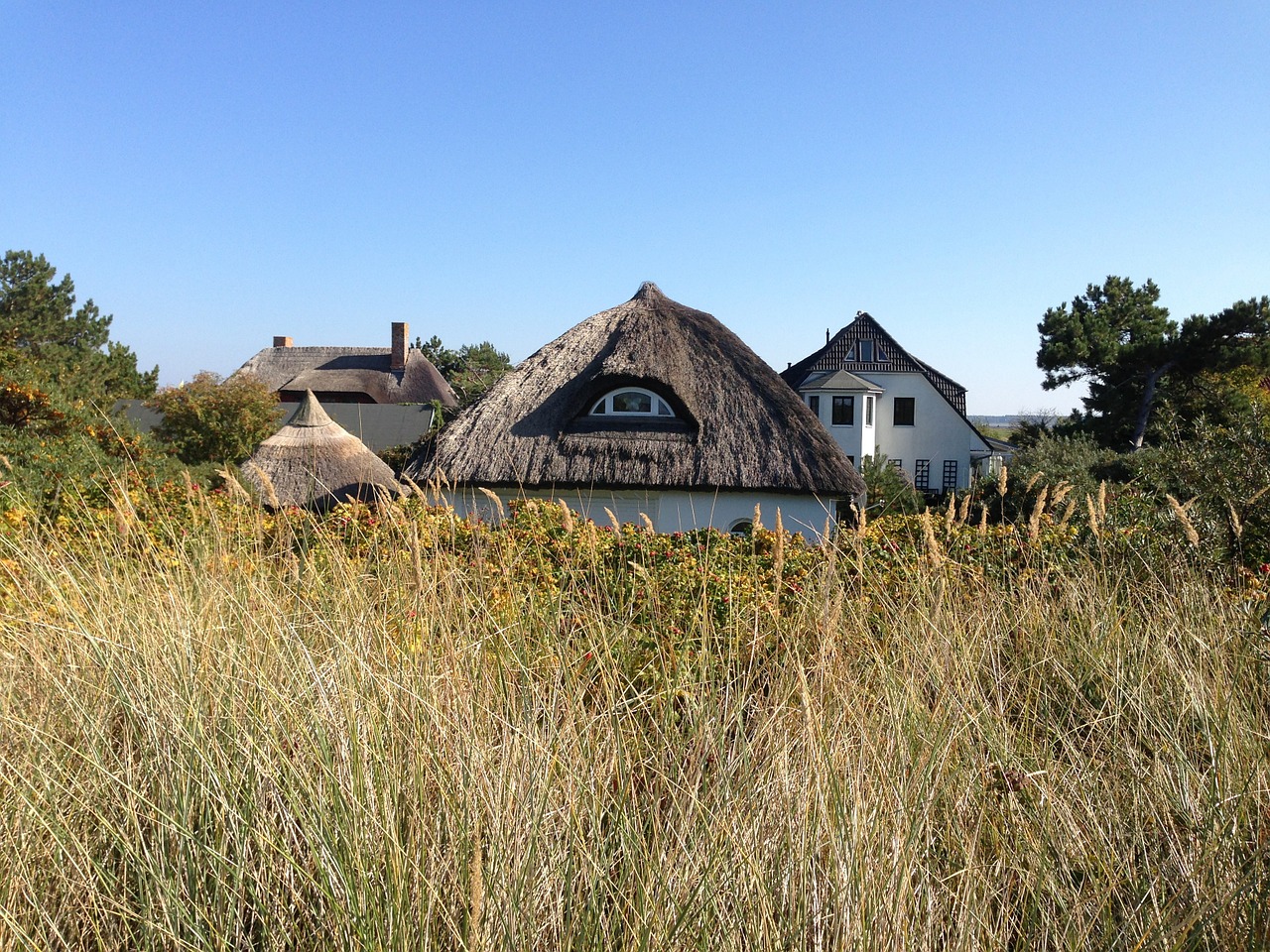 thatched roof homes village free photo